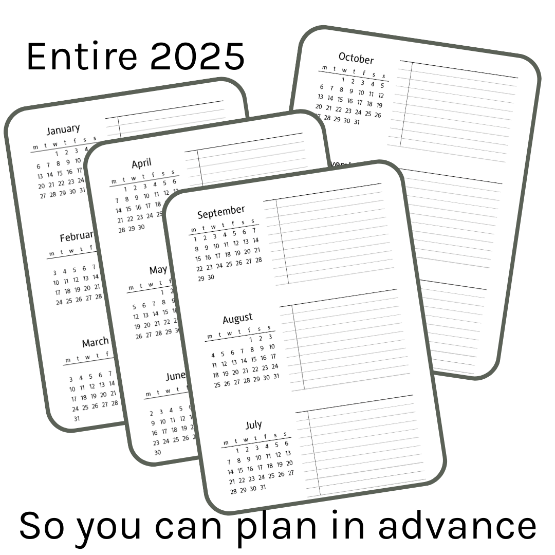 Loose Leaf A5 Planner Inserts 120gsm | 2025 Sectioned Future Log