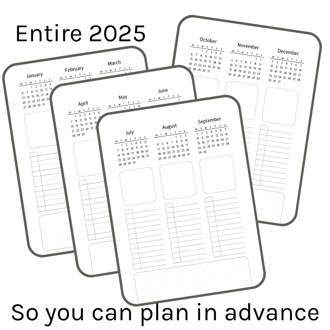 Loose Leaf A5 Planner Inserts 120gsm | 2025 Task-Focused Future Log