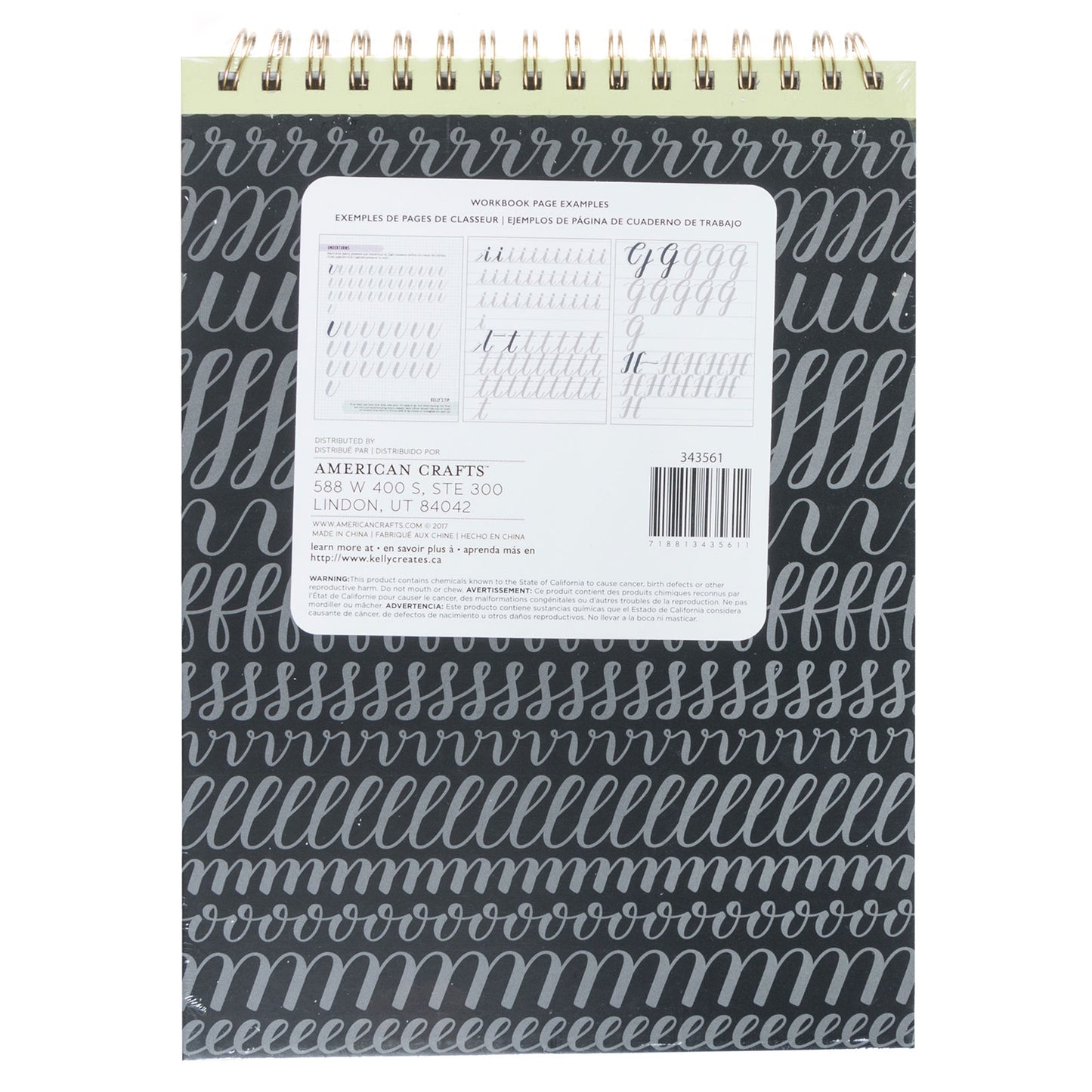 Learn Brush Lettering - Large Brush Kelly Creates Workbook back new zealand