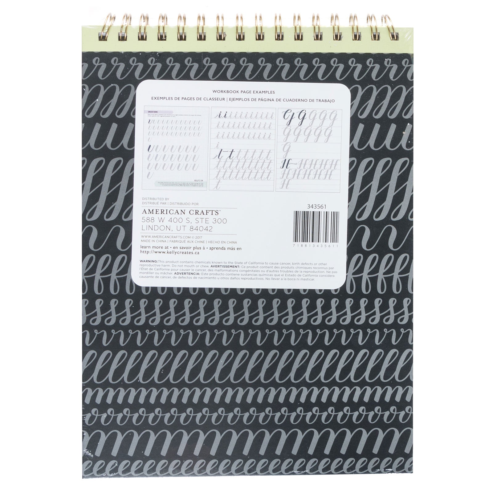 Learn Brush Lettering - Large Brush Kelly Creates Workbook back new zealand
