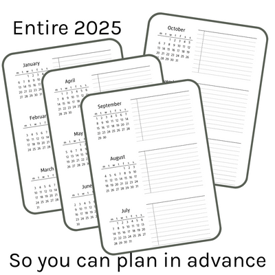 Loose Leaf A5 Planner Inserts 120gsm | 2025 Sectioned Future Log